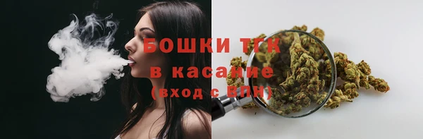 твердый Слюдянка