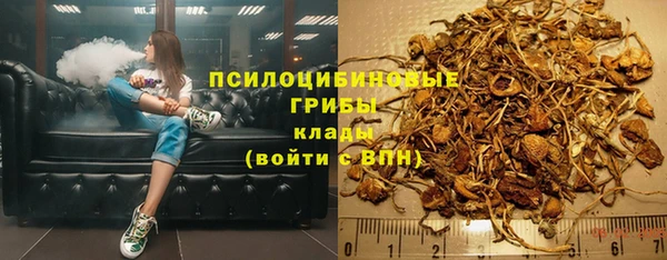 крисы Армянск