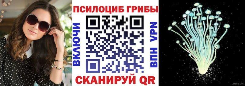 где купить   Белокуриха  Псилоцибиновые грибы ЛСД 